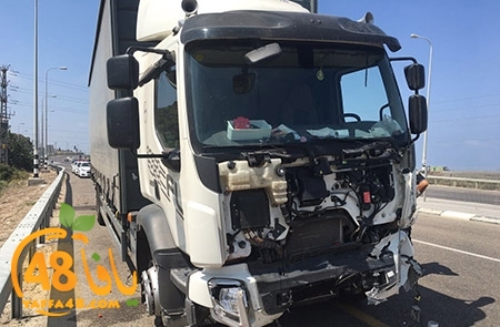 sha7ena freedis (5).jpg